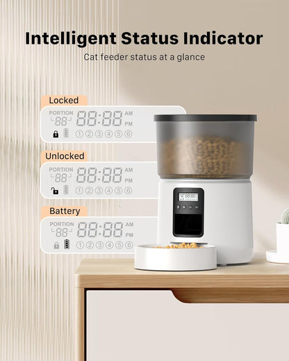 Distributore Automatico Cibo Gatti