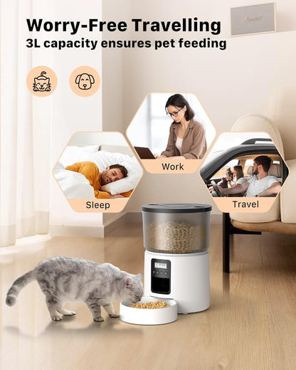 Distributore Automatico Cibo Gatti