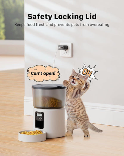 Distributore Automatico Cibo Gatti