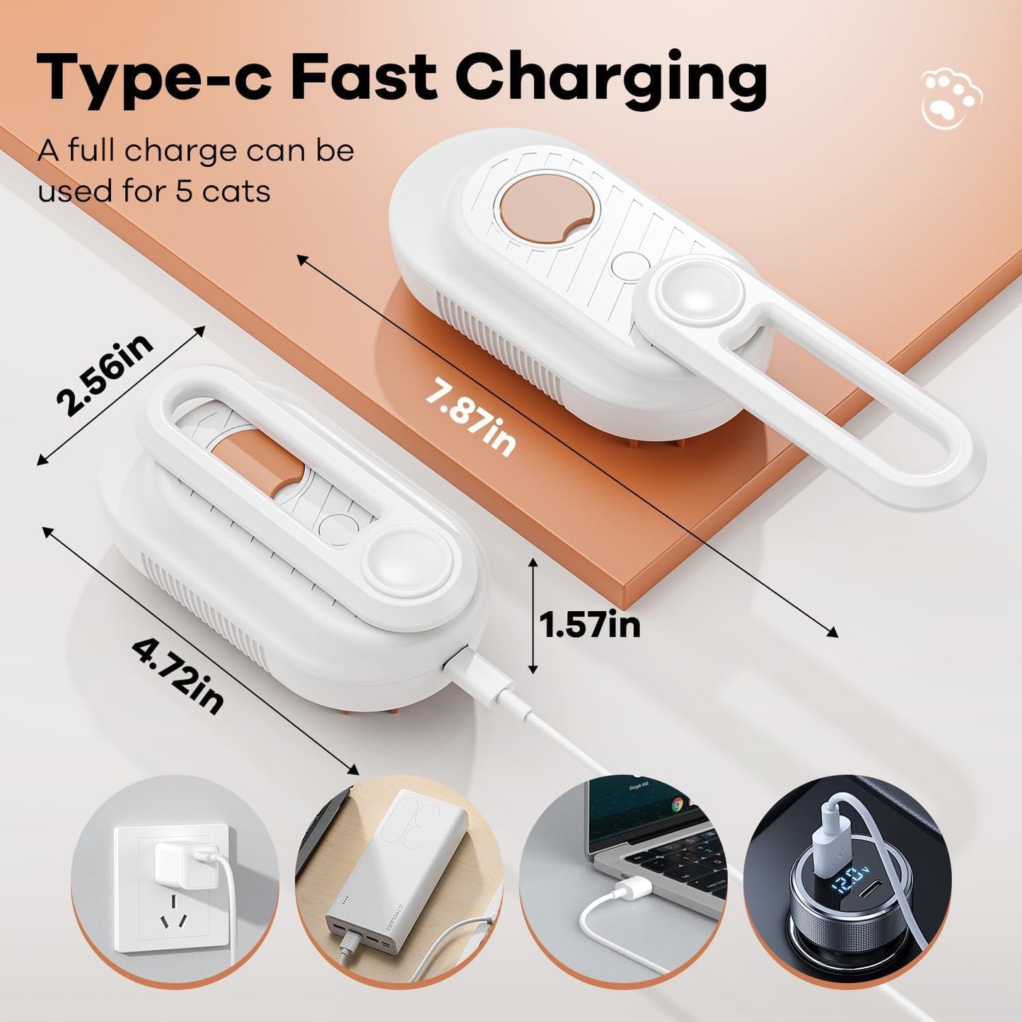 Spazzola a Vapore Gatti