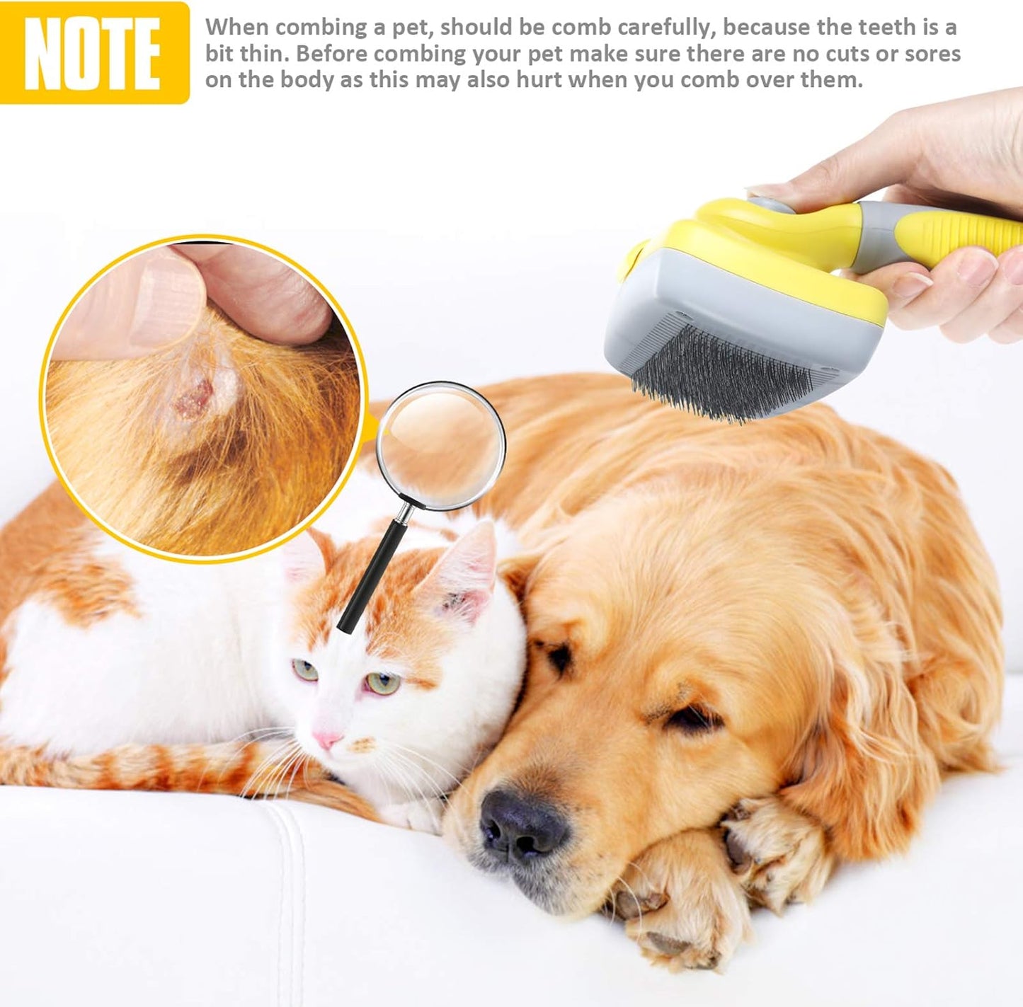 Pettine Toelettatura Professionale