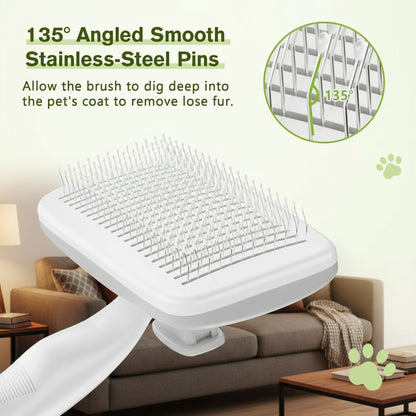 Pettine Toelettatura Professionale