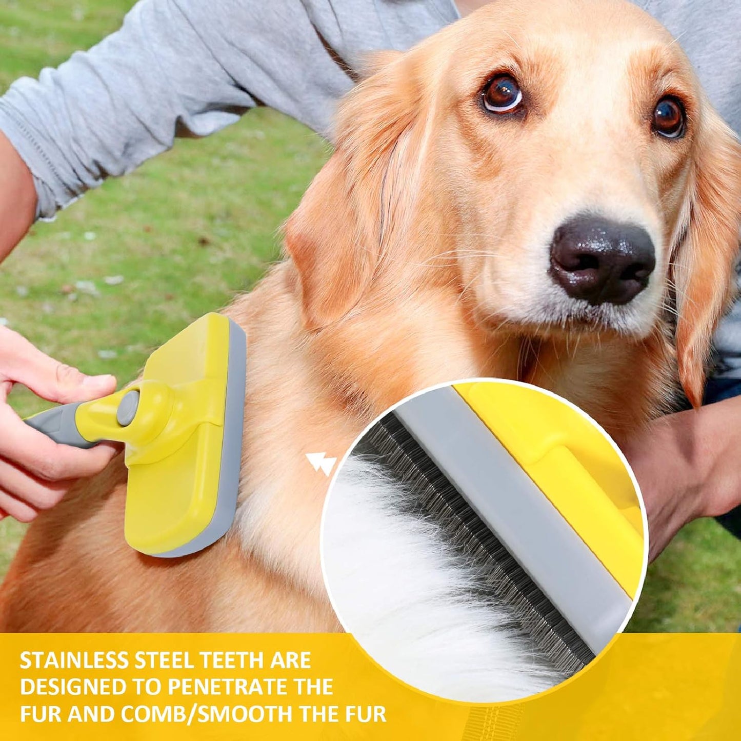 Pettine Toelettatura Professionale