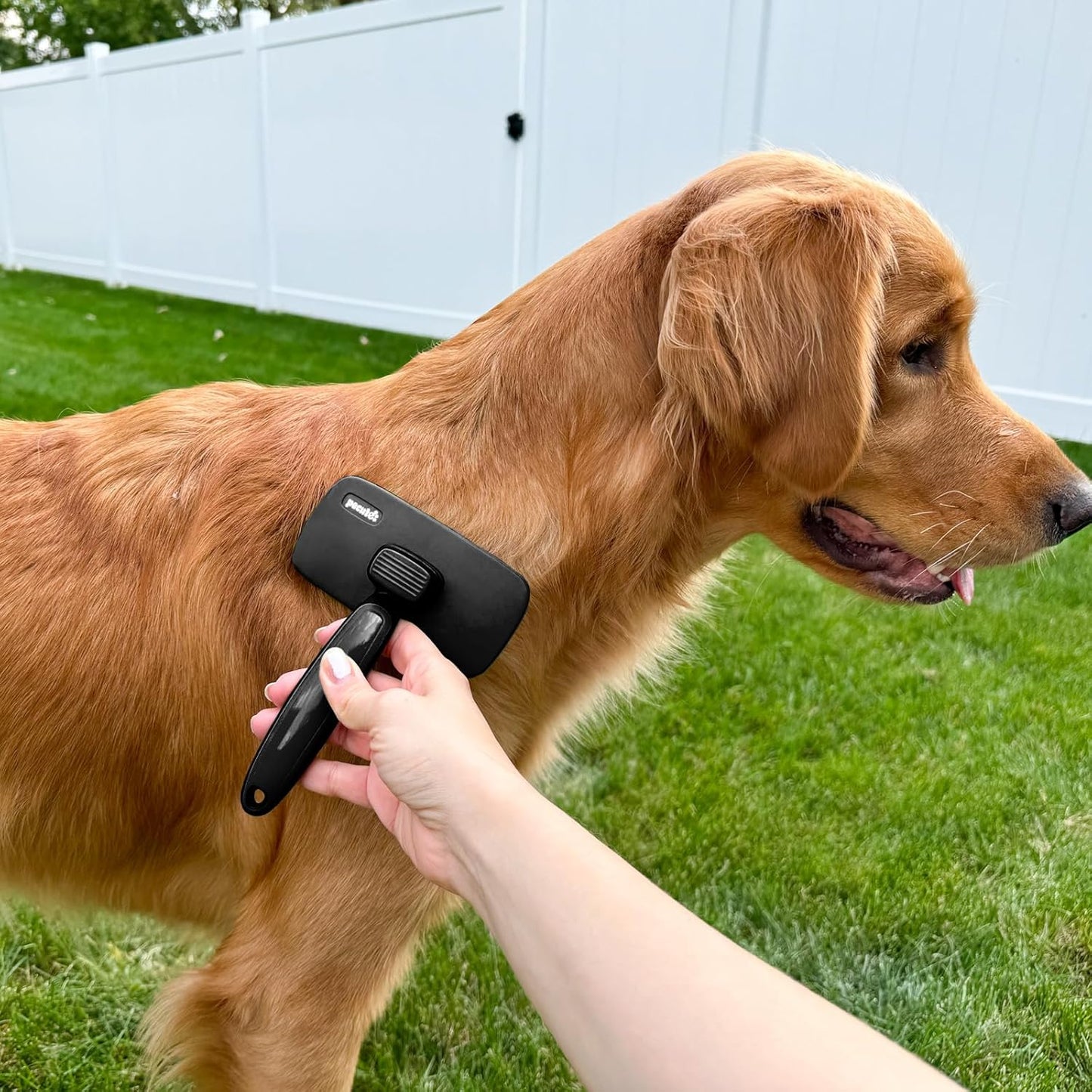 Pettine Toelettatura Professionale